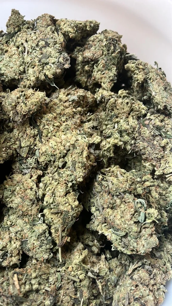 WEEDS BLUEBERRY