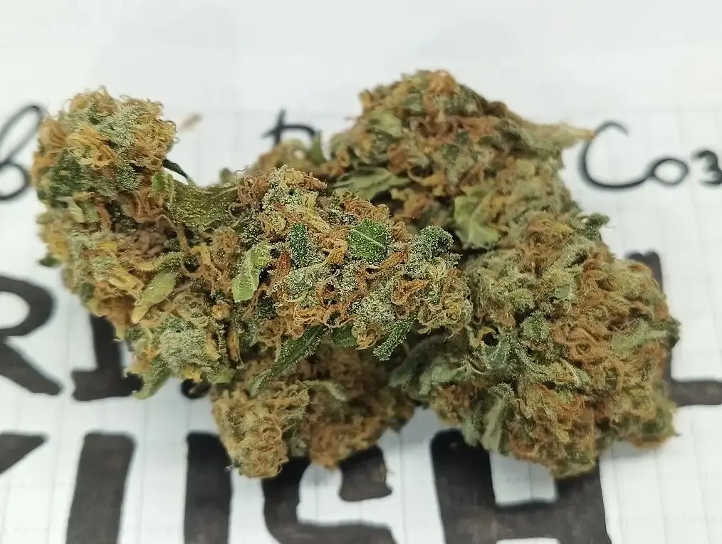 Buy Weed Cairo